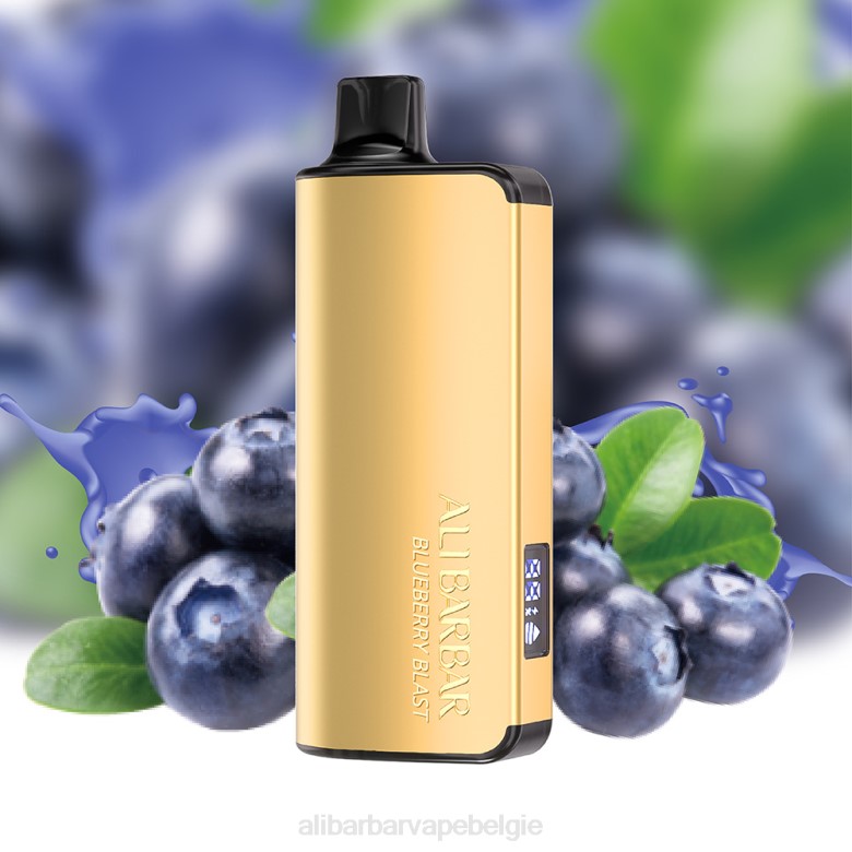 Alibarbar Vape Nicotine - Alibarbar Ingot 9000 wegwerpdamp H4Z015 bosbessen explosie