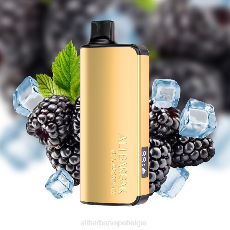Alibarbar Vape Nicotine - Alibarbar Ingot 9000 wegwerpdamp H4Z015 bosbessen explosie