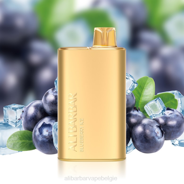 Alibarbar Vape Nicotine - Alibarbar Rich 8000 wegwerpdamp H4Z03 bosbessen ijs