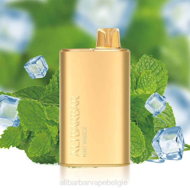 mint briesje