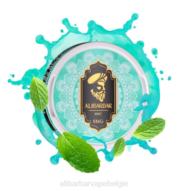 Alibarbar Vape Review - Alibarbar nicotinezakjes H4Z089 munt