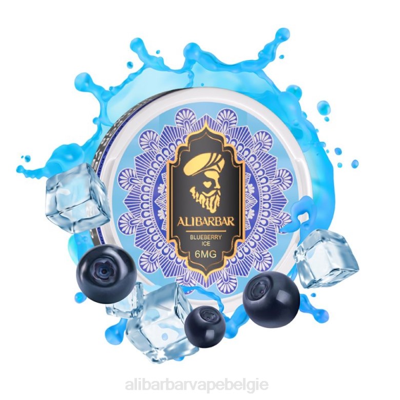 Alibarbar Vape Review - Alibarbar nicotinezakjes H4Z095 bosbessen ijs